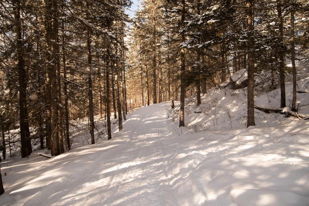 Les Racines du p'tit Isidore Rouyn-Noranda Extérieur photo