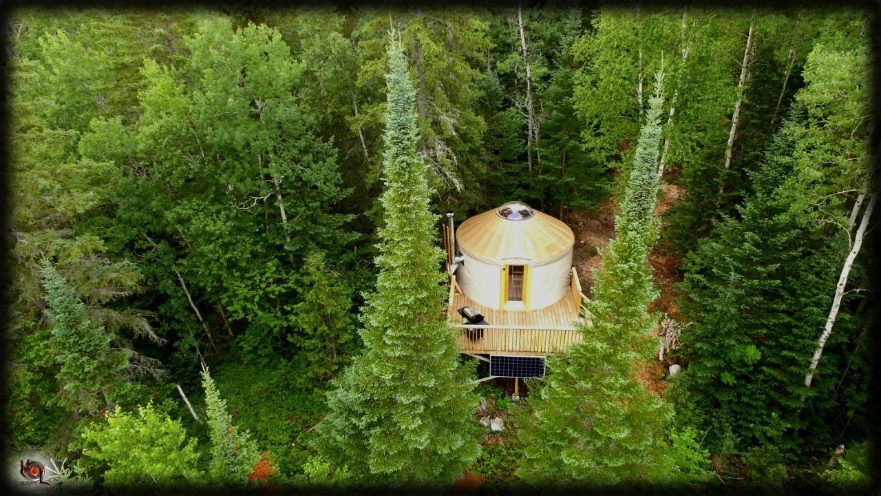 Les Racines du p'tit Isidore Rouyn-Noranda Extérieur photo