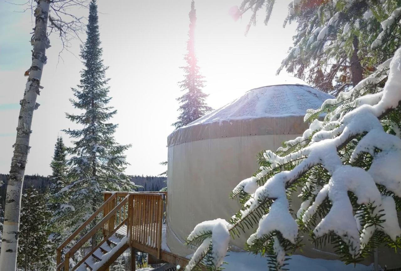 Les Racines du p'tit Isidore Rouyn-Noranda Extérieur photo
